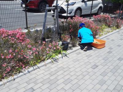 ブランチ岡山北長瀬にて